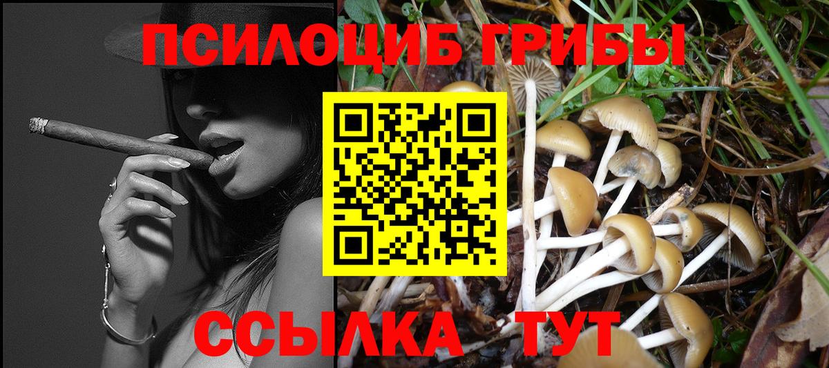 Псилоцибиновые грибы GOLDEN TEACHER  Вход с VPN  Губаха  Псилоцибиновые грибы MAGIC MUSHROOMS 